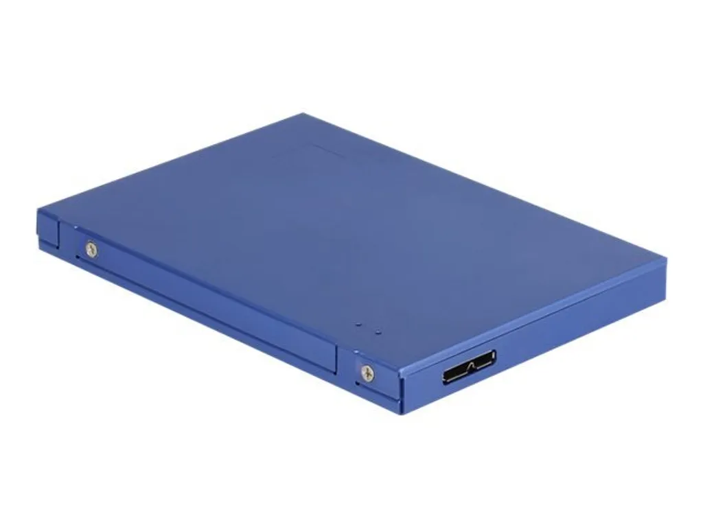Adaptateur Boîtier Externe pour SSD M.2 et mSATA vers USB 3.1 Delock