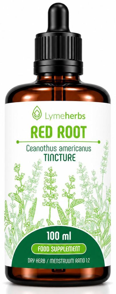 Ceanothus americanus (red root), tintura 1:2 (100ml) Immagine del prodotto 