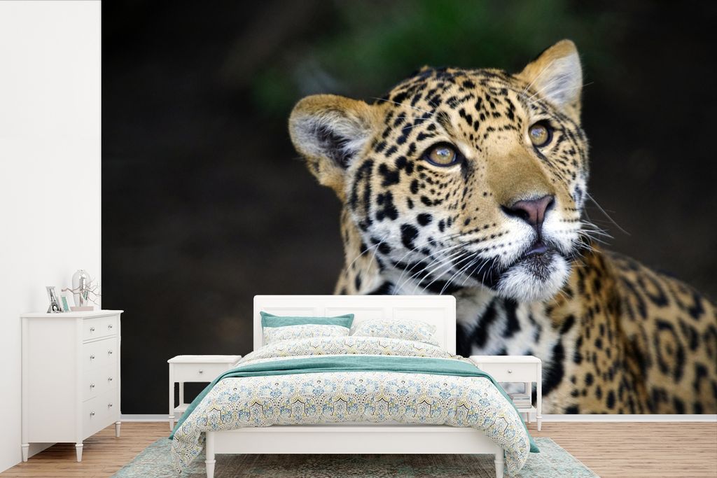 MuchoWow Fototapete für Wohnzimmer oder Schlafzimmer Wandtapete Vinyl Motivtapete Leopard - Kopf - Wald - 420x280 cm - Zimmer für Kinder
