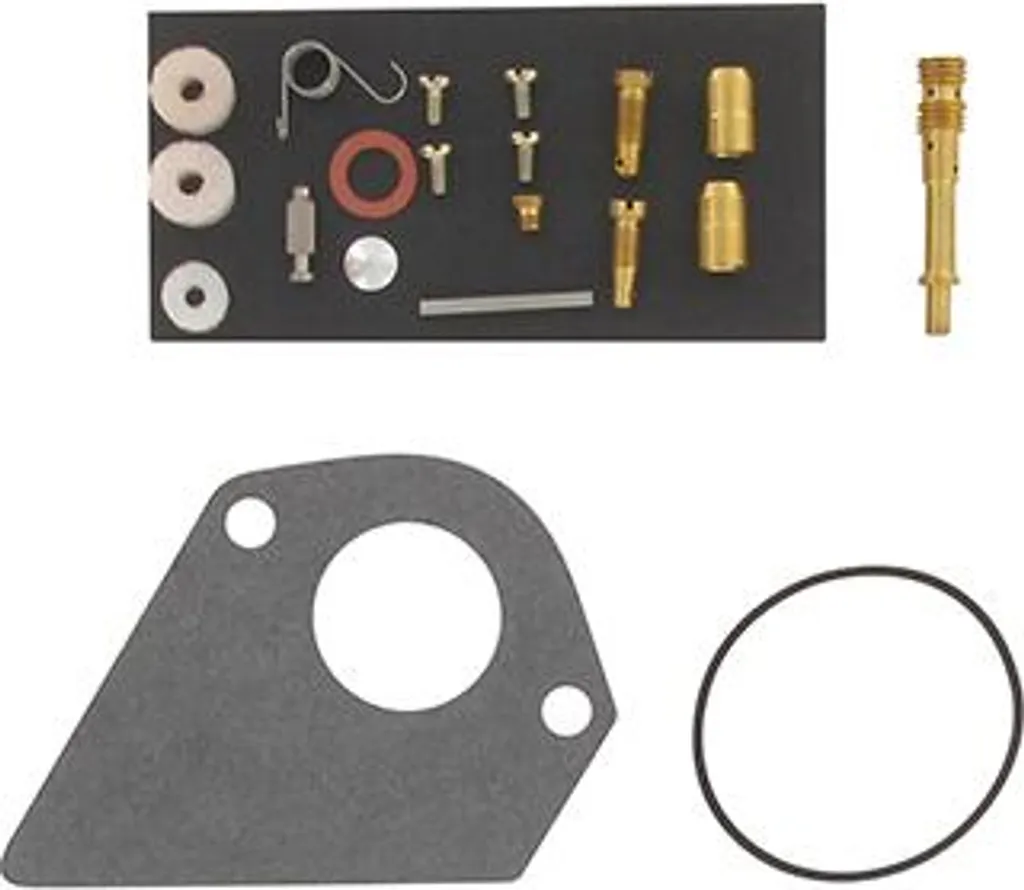 Kit Réparation Carburateur Briggs & Stratton Vanguard 14-16 CV Diamond