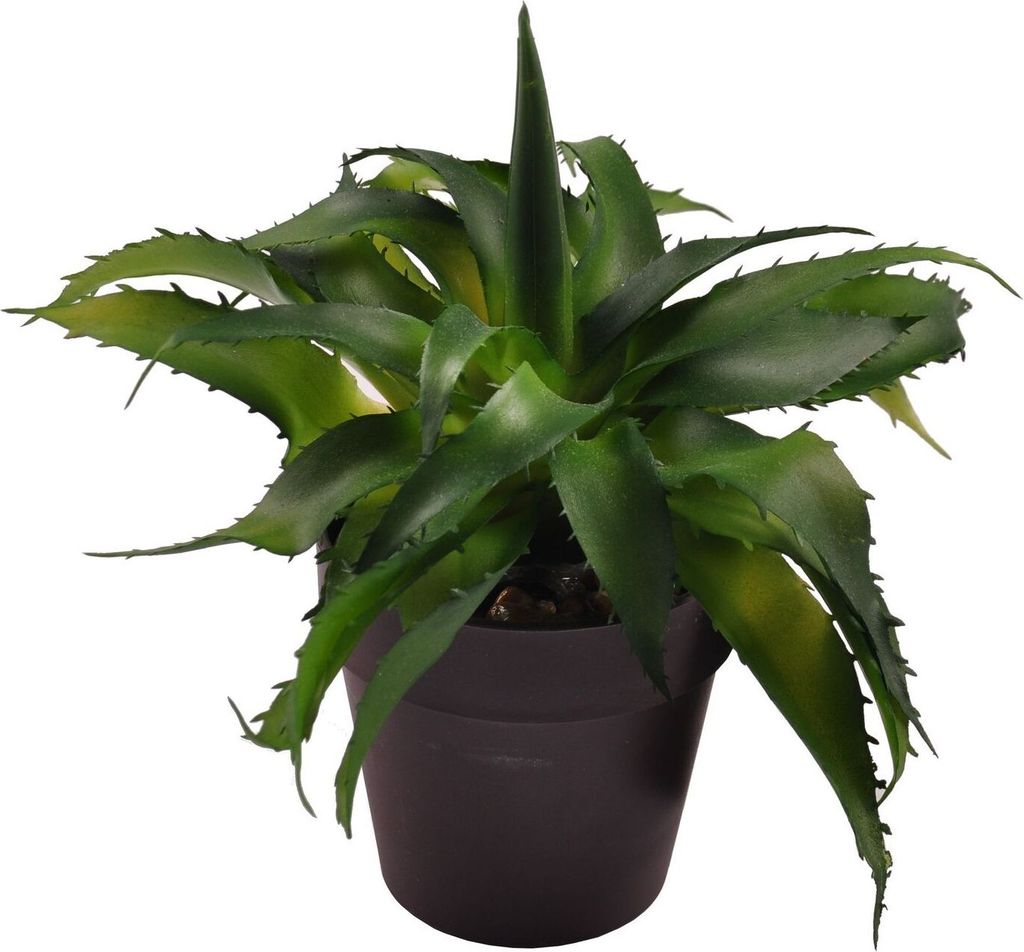 Künstliche Aloe Vera 18cm im Blumentopf Kunstpflanze Zimmerpflanze Dekopflanze