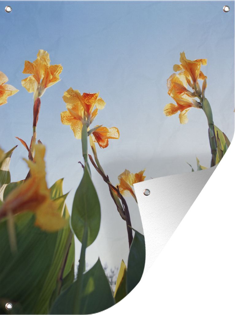 MuchoWow 60x80 cm Outdoor-Poster Gartendeko Sichtschutz Garten Poster für den Garten Canna-Blüten unter klarem Himmel