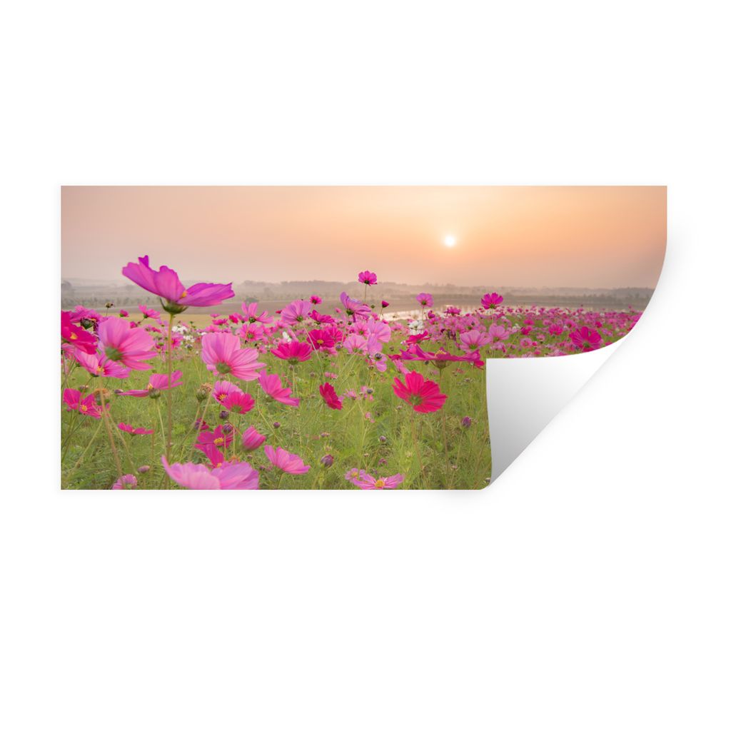 MuchoWow Wandtattoo Wandsticker Wandaufkleber Blumenwiese - Rosa - Mohnblumen 120x60 cm Selbstklebend und Repositionierbar - Sticker - Dekorfolie