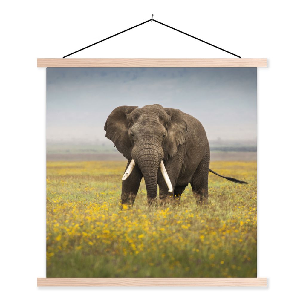 MuchoWow Textilposter Elefant - Blumen - Gras - Tiere - Natur 60x60 cm mit holzfarbenen Rahmen - Wanddekoration