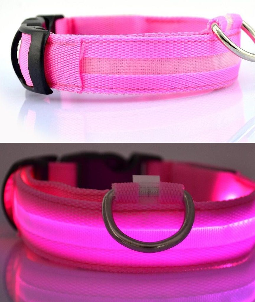 Hundehalsband Leuchthalsband Halsband für Hunde LED USB Produktbild 