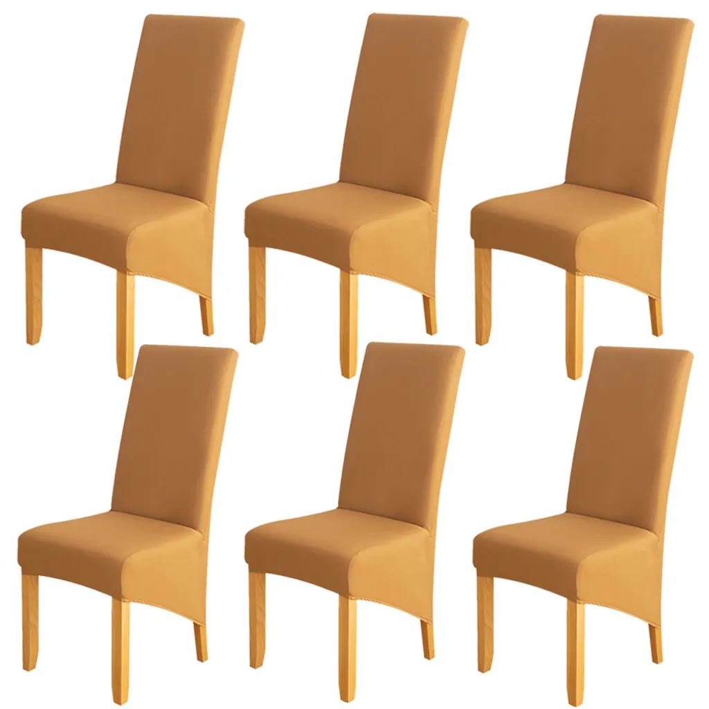 OFFERTA 6 Coprisedia Oro Elasticizzati: Prezzo Outlet, Qualità Top
