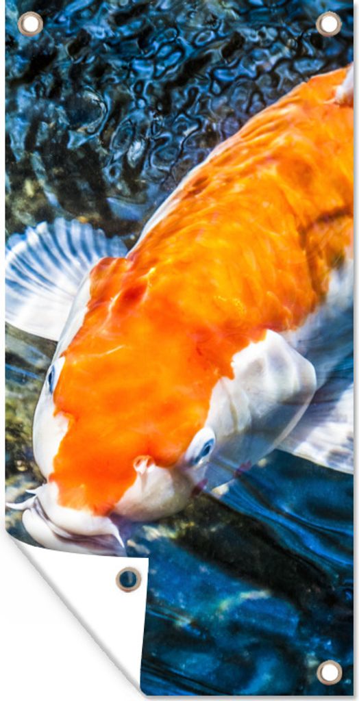 MuchoWow 80x160 cm Outdoor-Poster Gartendeko Sichtschutz Garten Poster für den Garten Ein Koi-Karpfen, der an die Wasseroberfläche kommt
