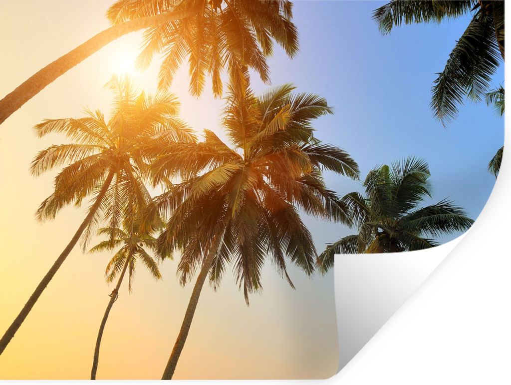 MuchoWow Wandtattoo Wandsticker Wandaufkleber Palme - Sonne - Sommer - Tropisch 80x60 cm Selbstklebend und Repositionierbar - Faltenfrei