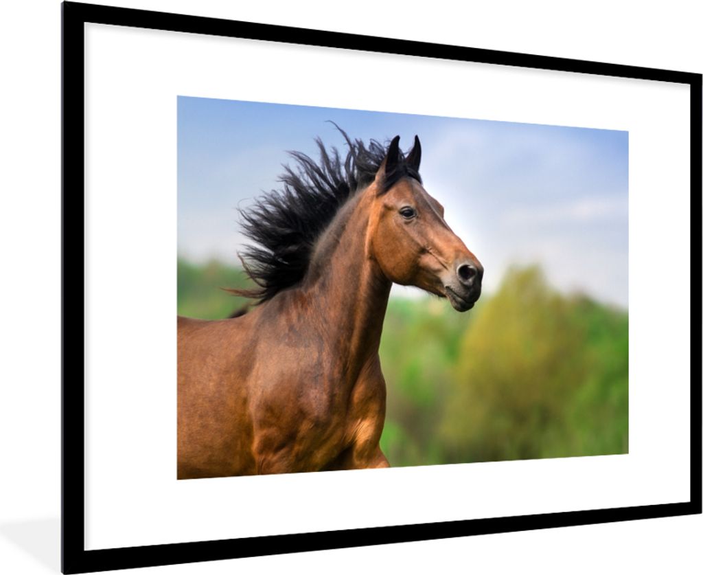 MuchoWow MuchoWow Gerahmtes Poster Pferd - Tier - Mähne - Braun 90x60 cm - Poster mit zchwarzem Bilderrahmen - Wanddekoration - Fotos