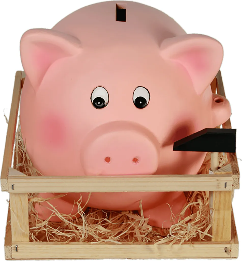 Tirelire Cochon Géante à Briser pour Épargne Vacances avec son Marteau