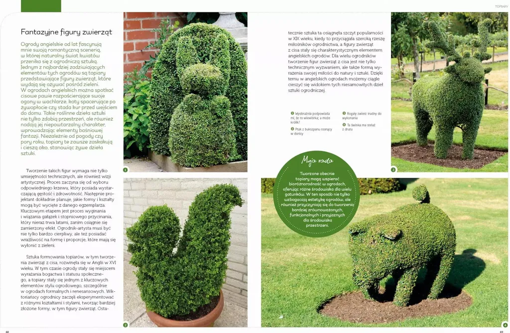 Techniques de formation des plantes - Guide illustré Danuta Młoźniak