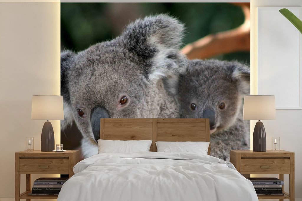 MuchoWow Fototapete für Wohnzimmer oder Schlafzimmer Wandtapete Vinyl Motivtapete Koalas - Vater - Sohn - Jungen - Mädchen - 300x300 cm - Wandd...