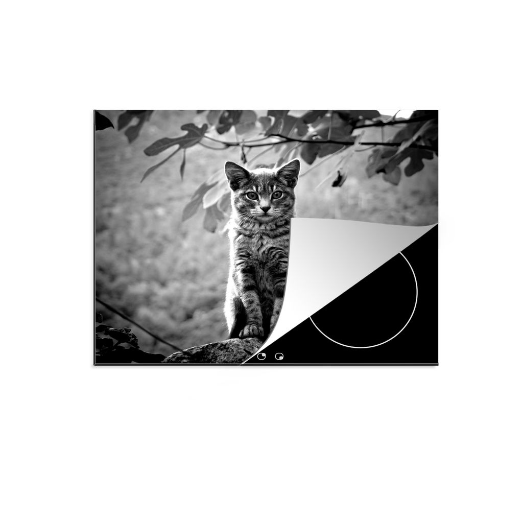 KitchenYeah Herdabdeckplatte Katze sitzt auf Stein im Wald - schwarz und weiß , 60x52cm, Küche Deko, Glaskeramikkochfeld Herdabdeckung, Abdeckp...