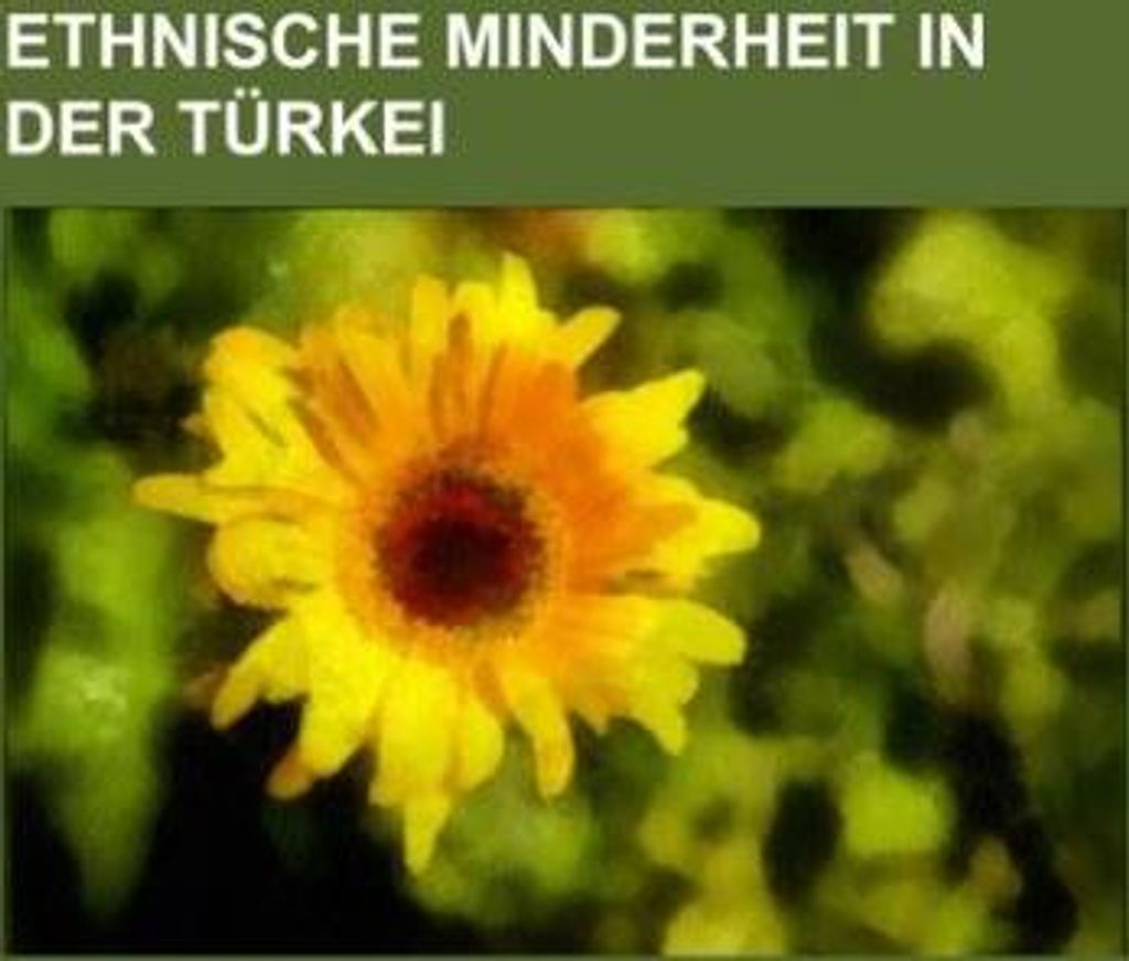 Ethnische Minderheit in der Türkei