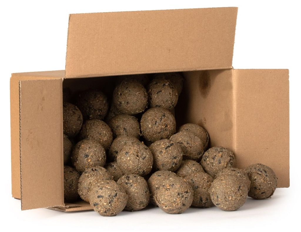 CJ Wildlife Meisenknödel ohne Netz mit Insekten - 50 Stück Produktbild 