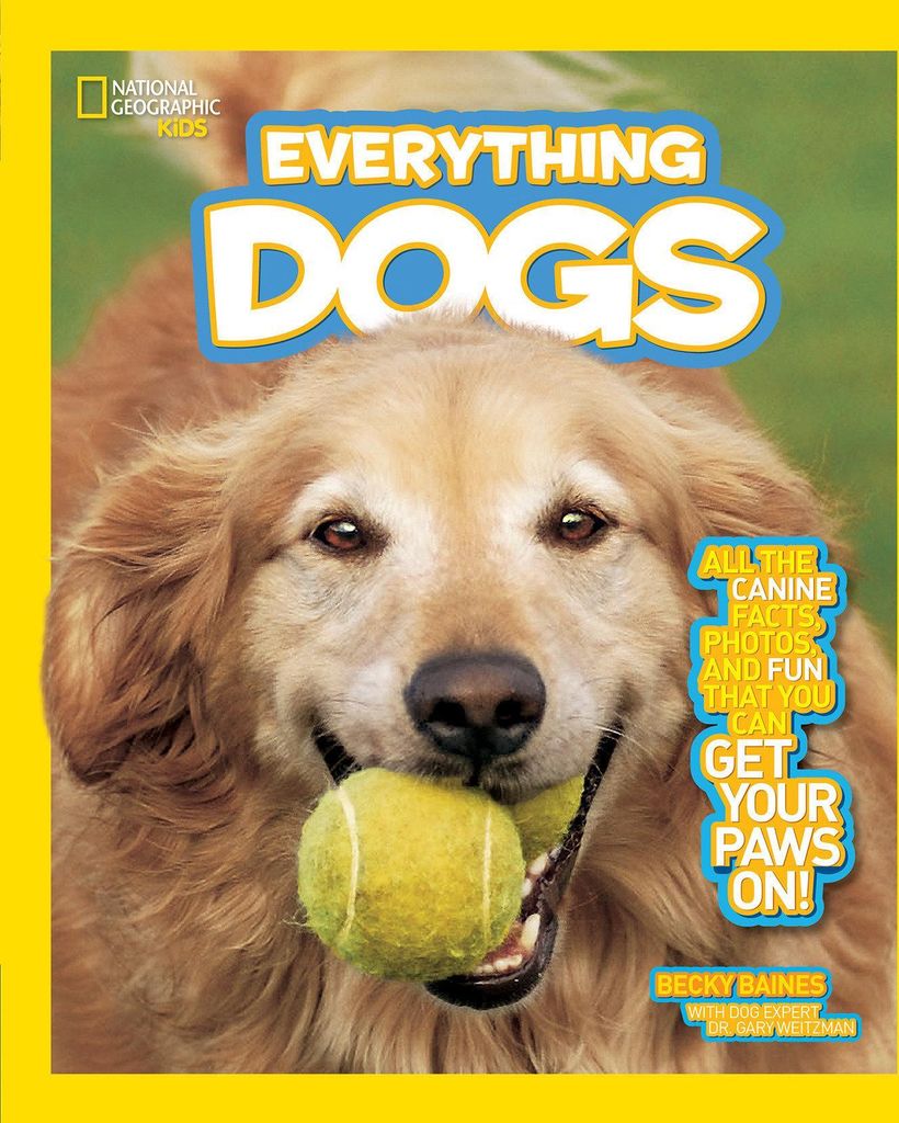 Everything Dogs