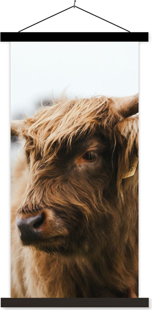 MuchoWow Textilposter Schottisches Hochlandrind - Tiere - Hörner 90x180 cm mit schwarzem Rahmen - Dekoration Wohnzimmer