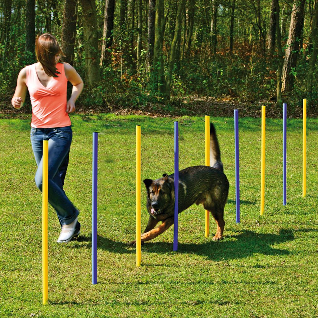 Agility-Slalom-Set, professionelles Stangen-Set – 6 Stangen, Trainingsstangen – Slalomstangen – Slalomstangen – Hundetraining, Sport und We...