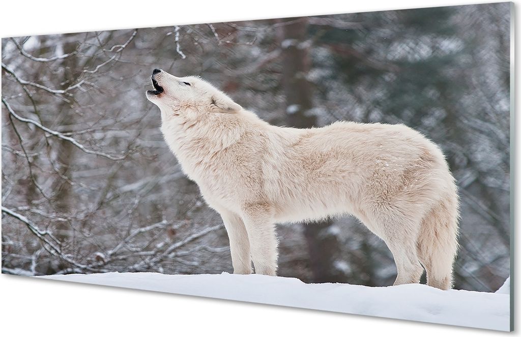 Spritzschutz 100x50 Wandkunst Wolf Winterwald