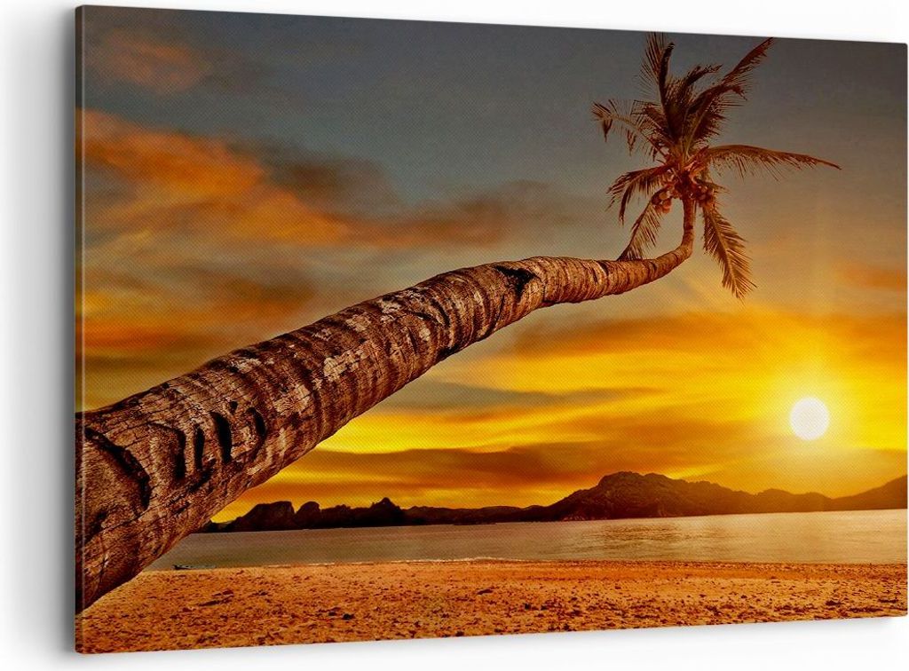 Bild auf Leinwand - Leinwandbild - Palme Landschaft Sonne - 100x70cm - Wand Bild - Wanddeko - Leinwanddruck - Bilder - Kunstdruck - Wanddekoration ...