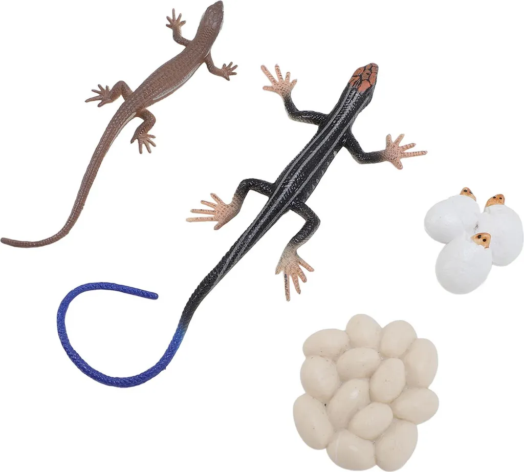 Gioco Educativo Ciclo Vita Animali Skink - Regalo per Bambini 3+