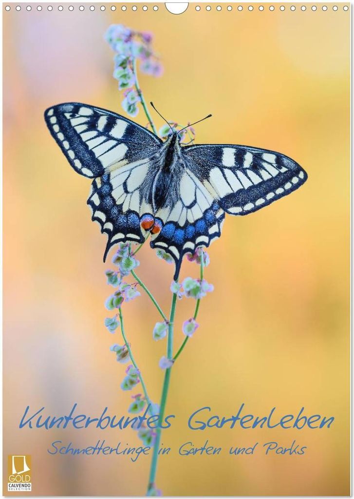 Kunterbuntes Gartenleben - Schmetterlinge in Gärten und Parks (Wandkalender 2026 DIN A3 hoch), CALVENDO Monatskalender