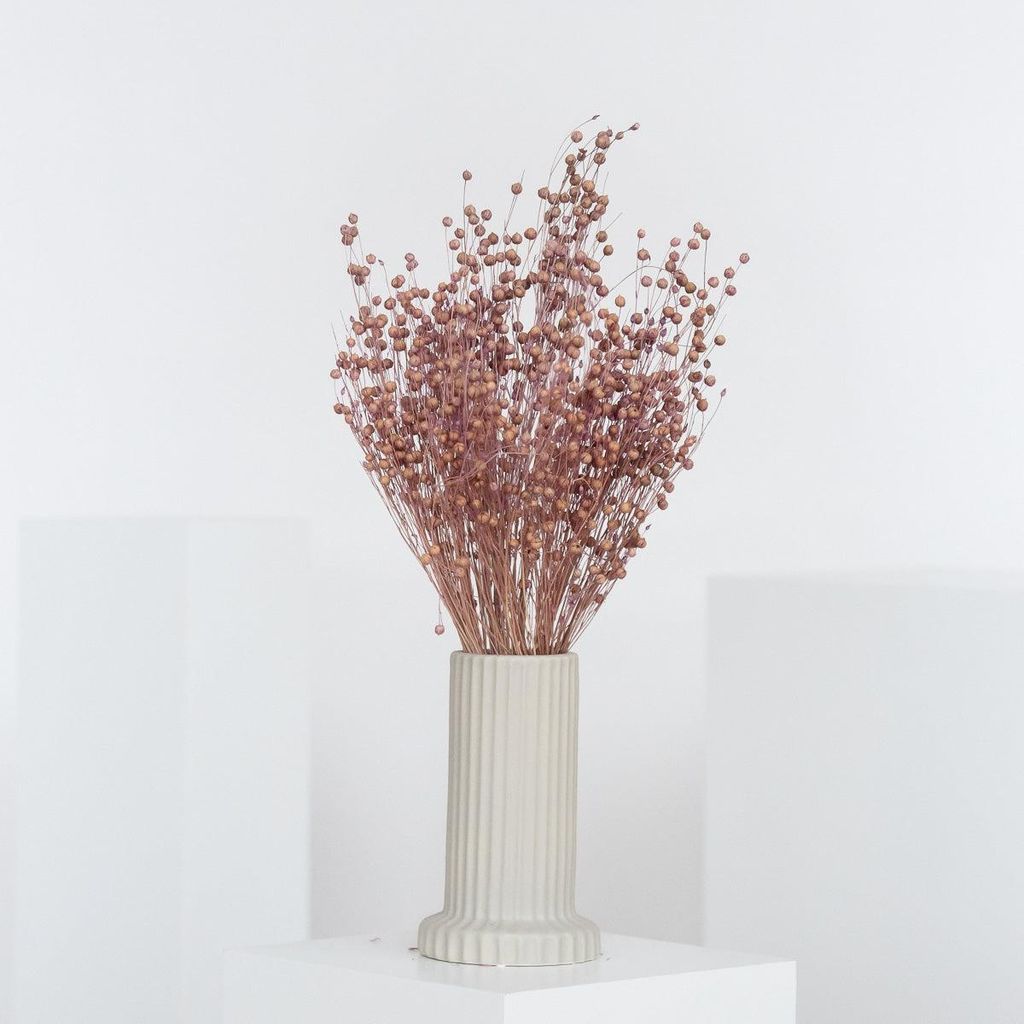 Trockenblumen Flachs Linum 40cm Bund Deko natur Getrocknete Blumen Deko-Flachs