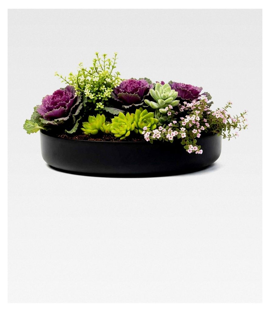 Dekoschale aus Fiberglas anthrazit 30 cm flach modern rund matt für Innen und Außen