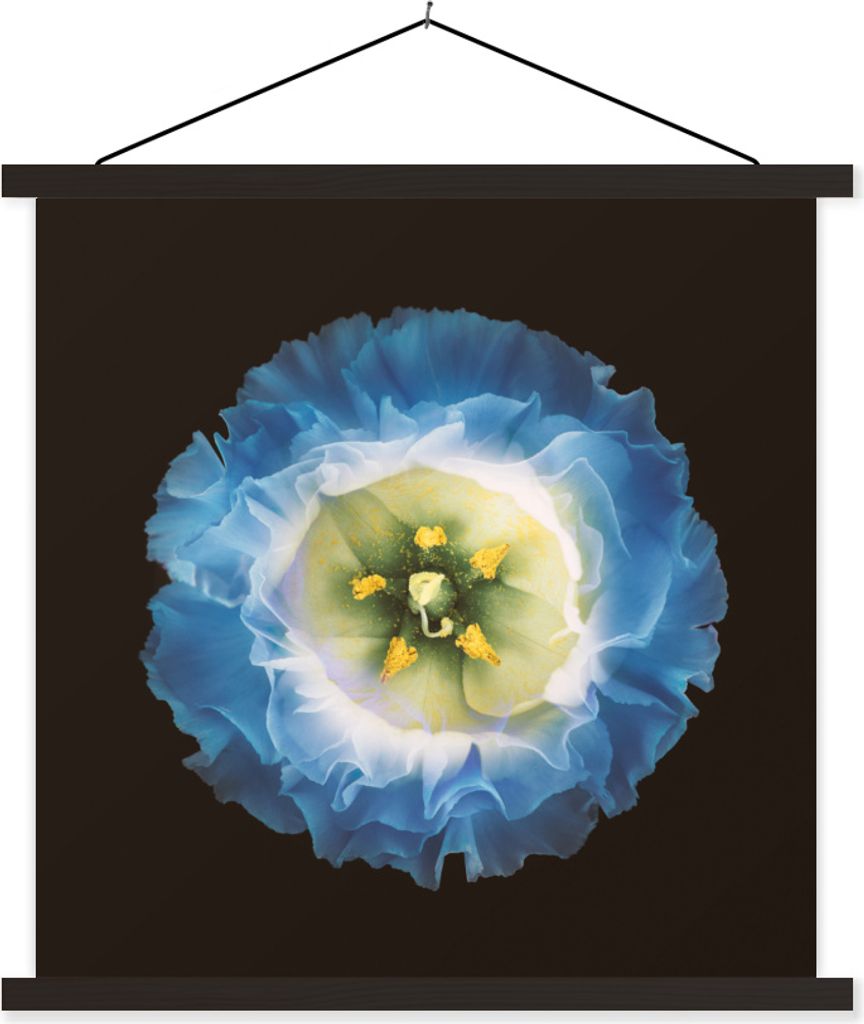 MuchoWow Textilposter Eine Nahaufnahme einer blauen Blume auf schwarzem Hintergrund 90x90 cm mit schwarzem Rahmen - Magnetisches