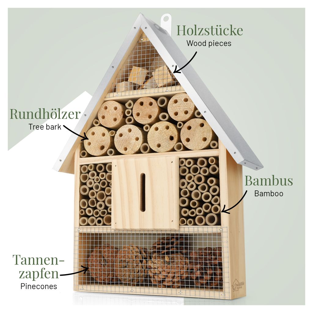 bambus fargesia great wall Bambus Great Wall (Fargesia nitida 'Great Wall') | 60-80 cm im Topf