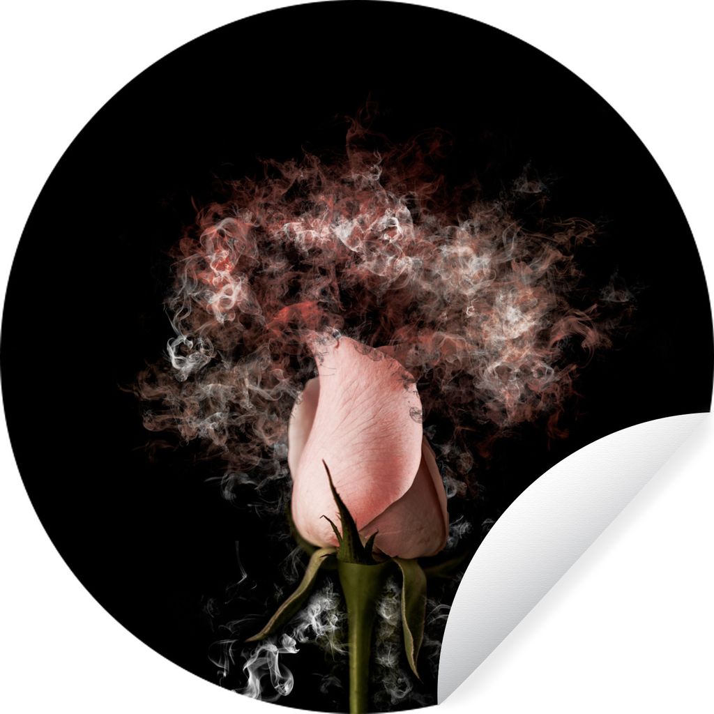 MuchoWow Runde Wandtattoo - Wandsticker Tapete Aufkleber Rosen - Blumen - Rosa Ø 30 cm Selbstklebend und Repositionierbar - Wandaufkleber - Krei...