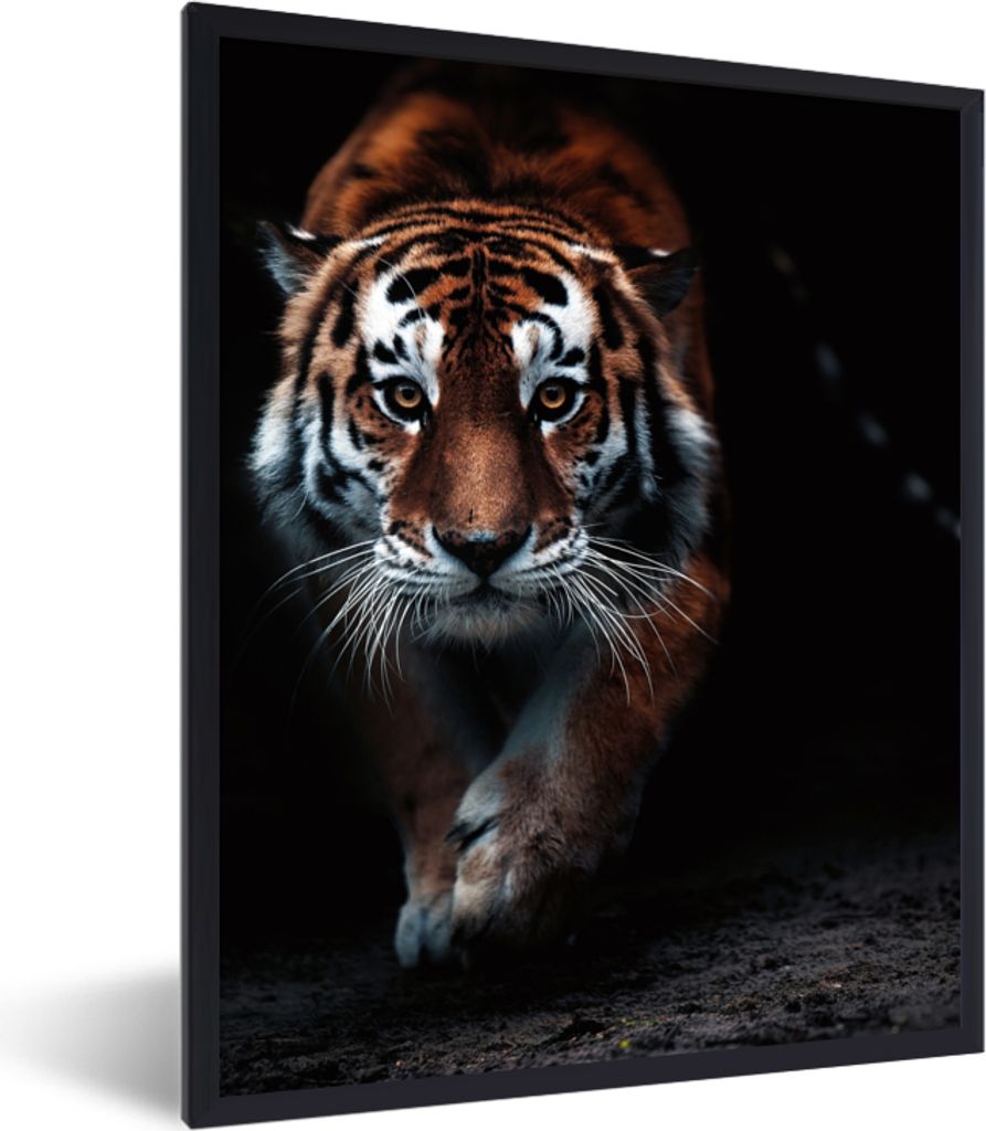 MuchoWow Gerahmtes Poster Tiere - Tiger - Schwarz - Wild - Porträt 30x40 cm - Poster mit Schwarzem Bilderrahmen Wandposter Rahmen Foto Bilder - ...
