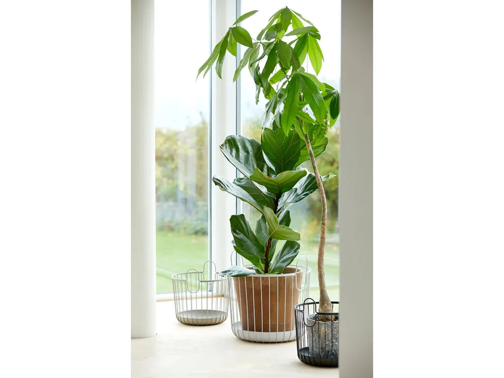 Zone Denmark Inu Cestino Piccolo In Metallo Grigio – 38x18 Cm, Con Manici, Portaoggetti Per Bagno, Cucina, Tavolo, Stile Nordico