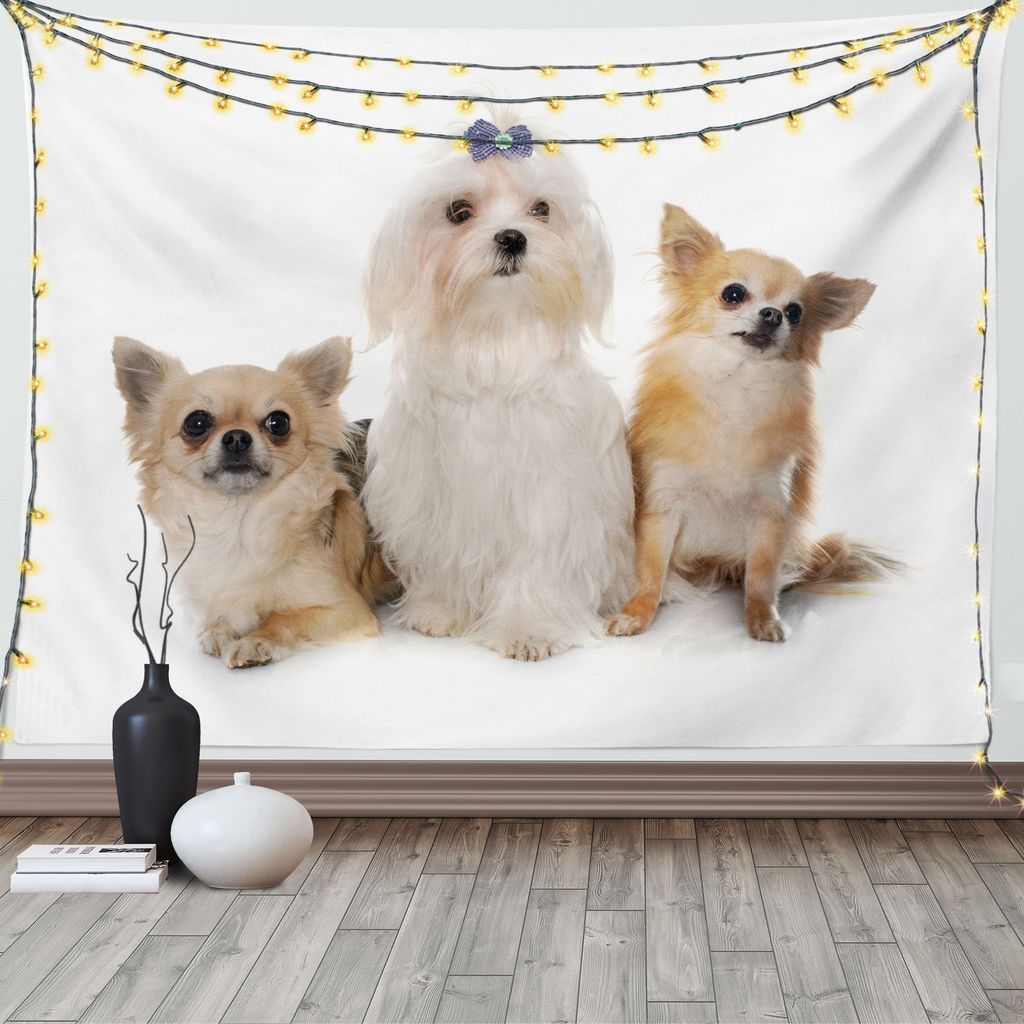 ABAKUHAUS Hündchen Wandteppich, Chihuahua und Maltesisch Hunde, Wohnzimmer Schlafzimmer Heim Seidiges Satin Wandteppich, 200 x 150 cm, Pale Brown ...