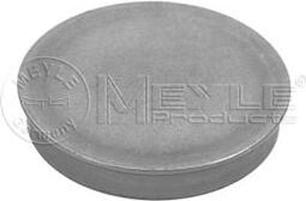 Meyle Schutzdeckel, Radnabe Hinterachse 100 752 0006 Produktbild 