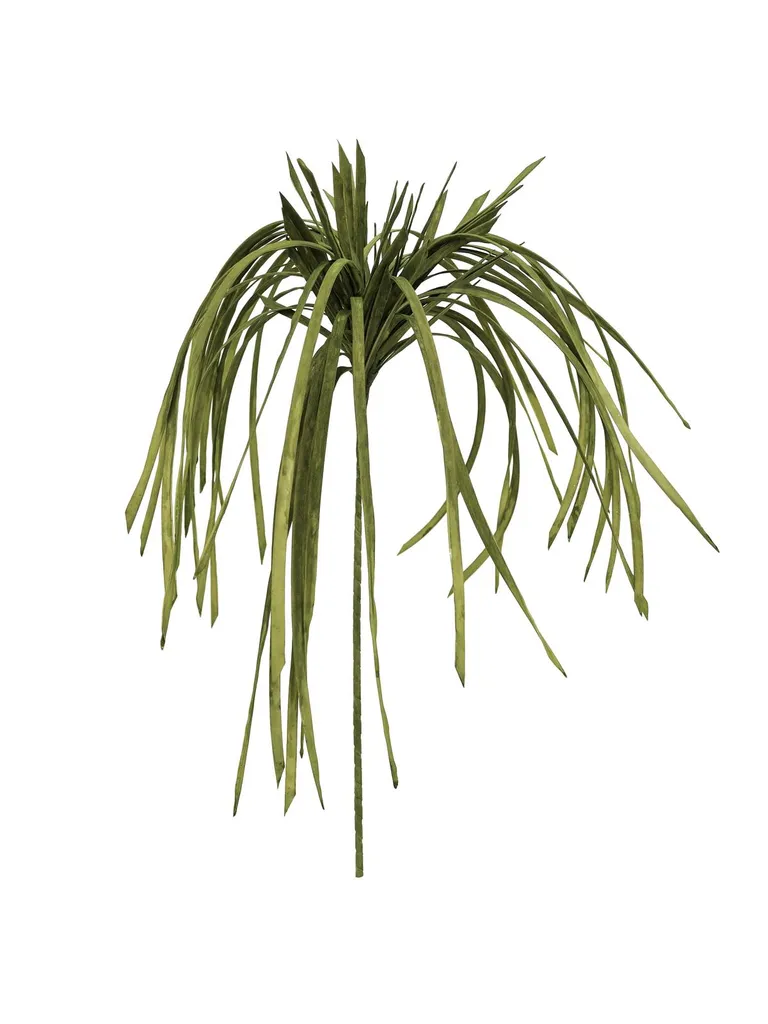 Plante Artificielle Herbe de Mer Verte en EVA pour Déco Intérieure