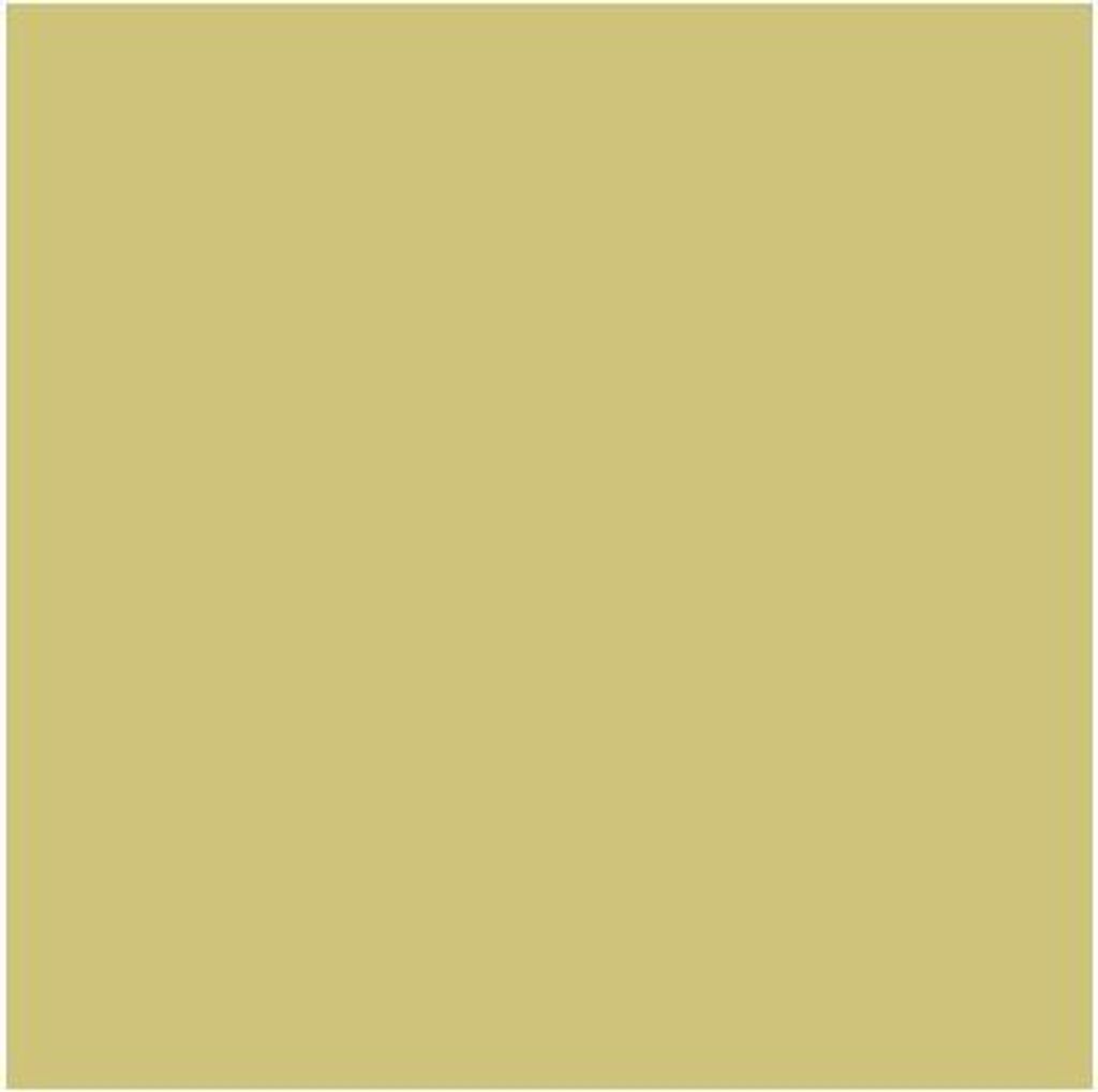 HEYDA Fotokarton 204716394 50x70cm 300 g gold matt 25 St./Pack.