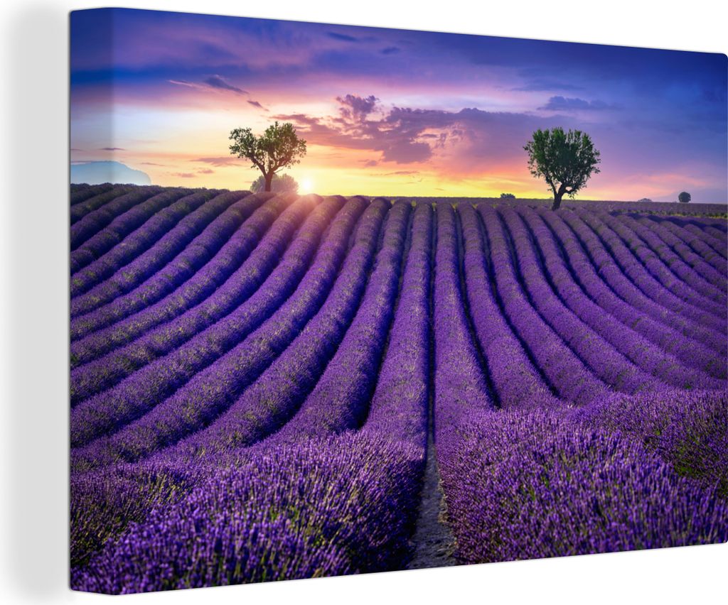 OneMillionCanvasses - Leinwandbilder - 150x100 cm, Lavendel - Hügel - Sonnenuntergang - Bpmen - Lila, Wandbilder Kunstdruck Wanddekoration - Fot...