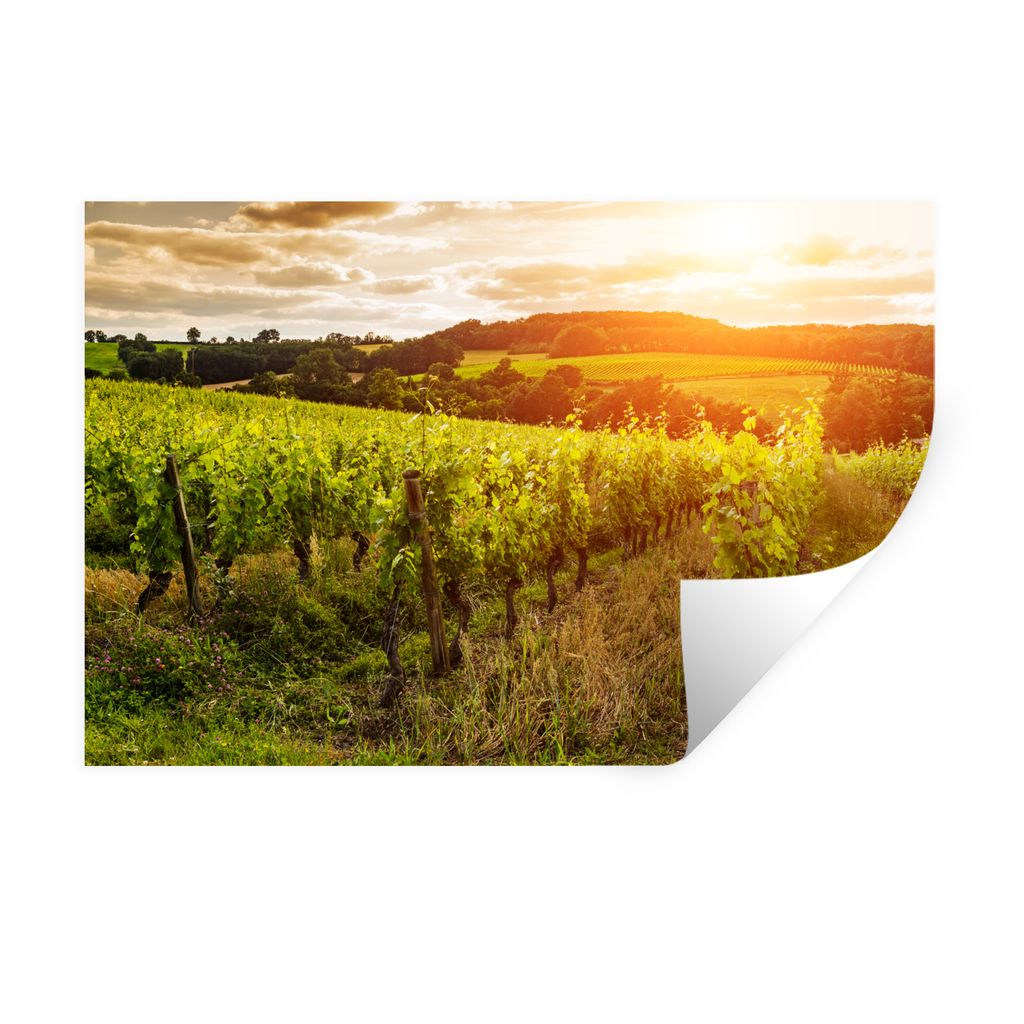 MuchoWow Wandtattoo Wandsticker Wandaufkleber Weinberg bei Sonnenuntergang in Frankreich 30x20 cm Selbstklebend und Repositionierbar - Wierderver...