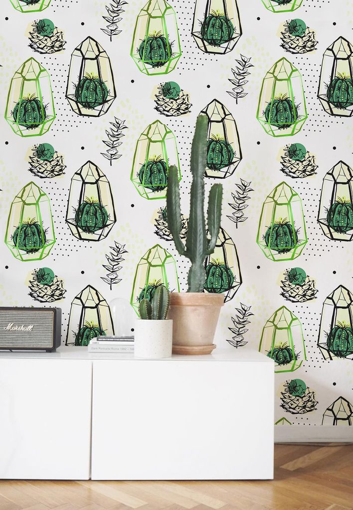 Coloray Fototapete 250x250 cm Latextapete Magicstick - Haus Cacti Cactus.