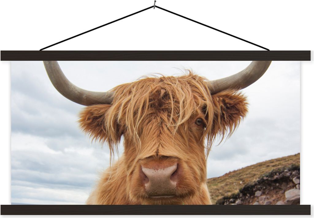 MuchoWow Textilposter Schottisches Hochlandrind - Kuh - Landschaft 90x45 cm mit schwarzem Rahmen - Klemmleisten