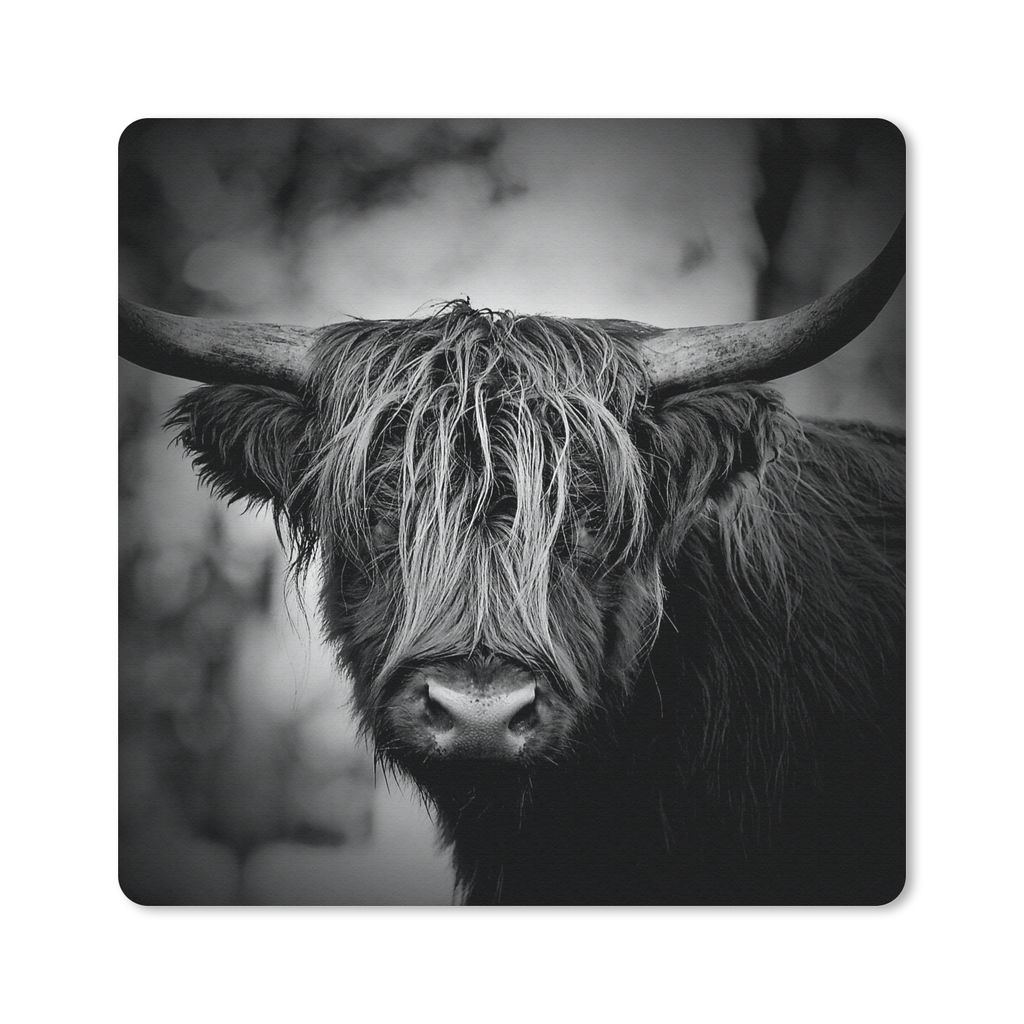 MuchoWow Mauspad Mousepad Schottischer Hochländer - Licht - Porträt - Natur 30x30 cm - Mousepads - Maus Mat - Pad - Mausunterlage - Gaming