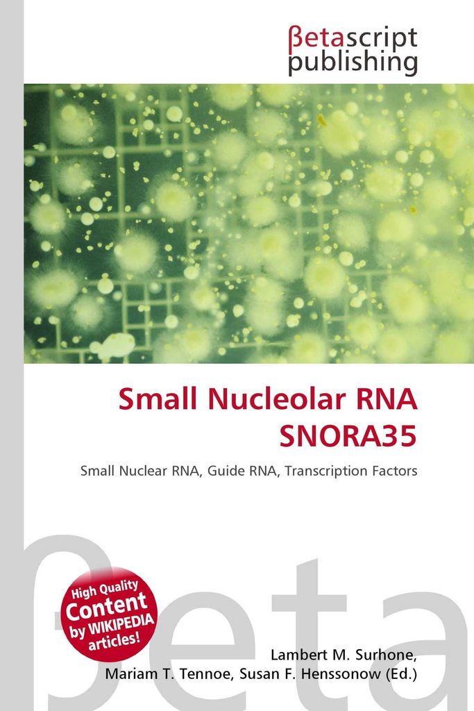 Small Nucleolar RNA SNORA35