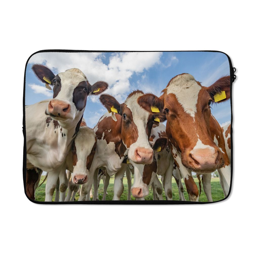 MuchoWow Laptop Hülle 14 ZollKühe - Tiere - Wiese - Natur Laptoptasche - Laptoptasche - Stoßsicher - Schutzhaube