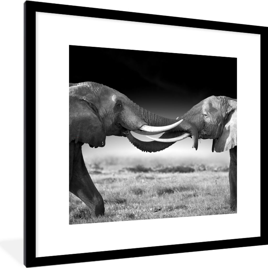MuchoWow Gerahmtes Poster Elefant - Tiere - Schwarz und weiß - Porträt - Landschaft 40x40 cm - Poster mit Schwarzem Bilderrahmen Wandposter Rah...