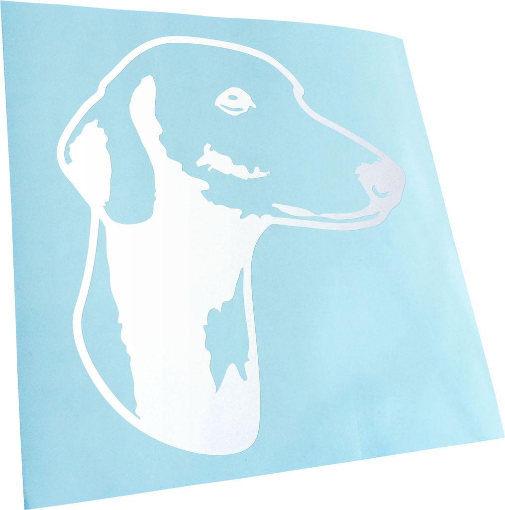 Kiwistar - Autoaufkleber - Azawakh Hund - Gold - 60x55cm - Aufkleber für Auto, Laptop, Fahrrad, LKW, Motorrad mehrfarbig JDM Decal Racing