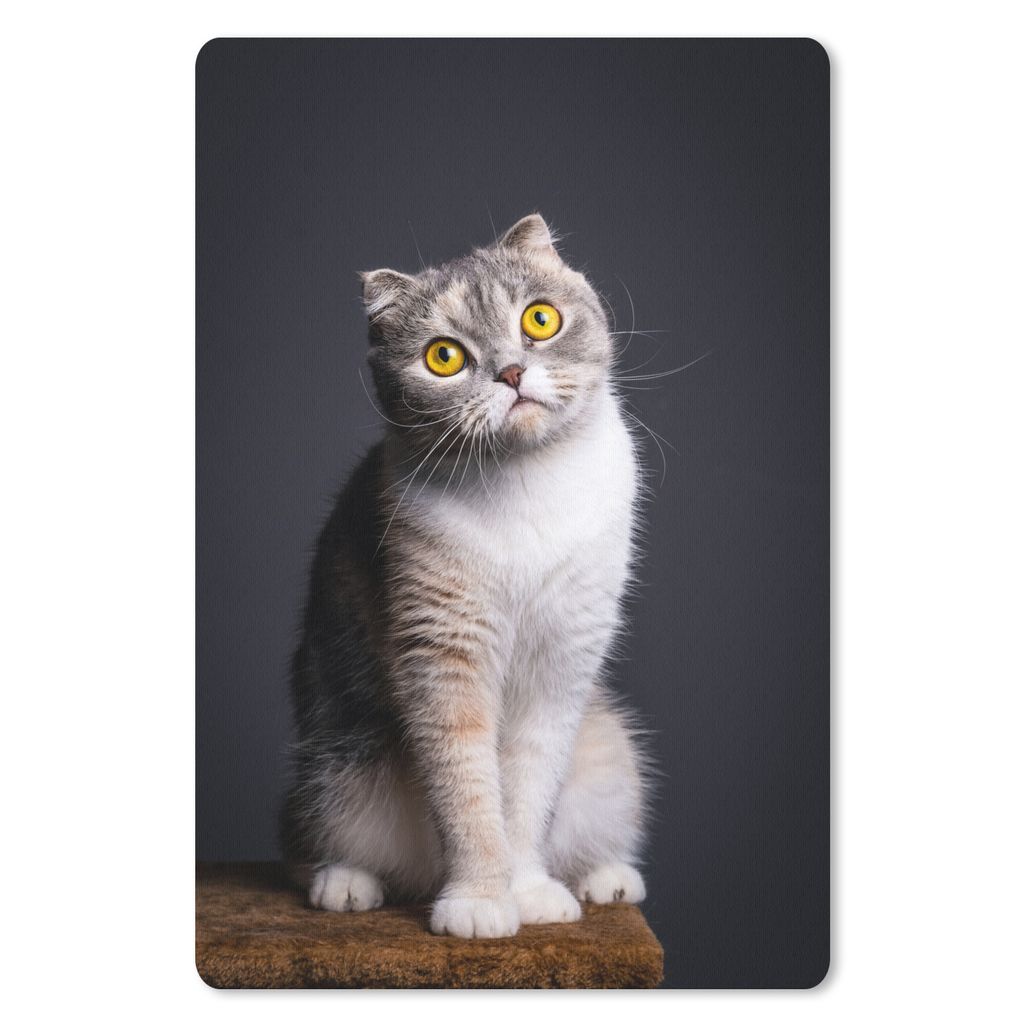 MuchoWow Mauspad Mousepad Katze - Augen - Licht 18x27 cm - Mousepads - Maus Mat - Pad - Mausunterlage