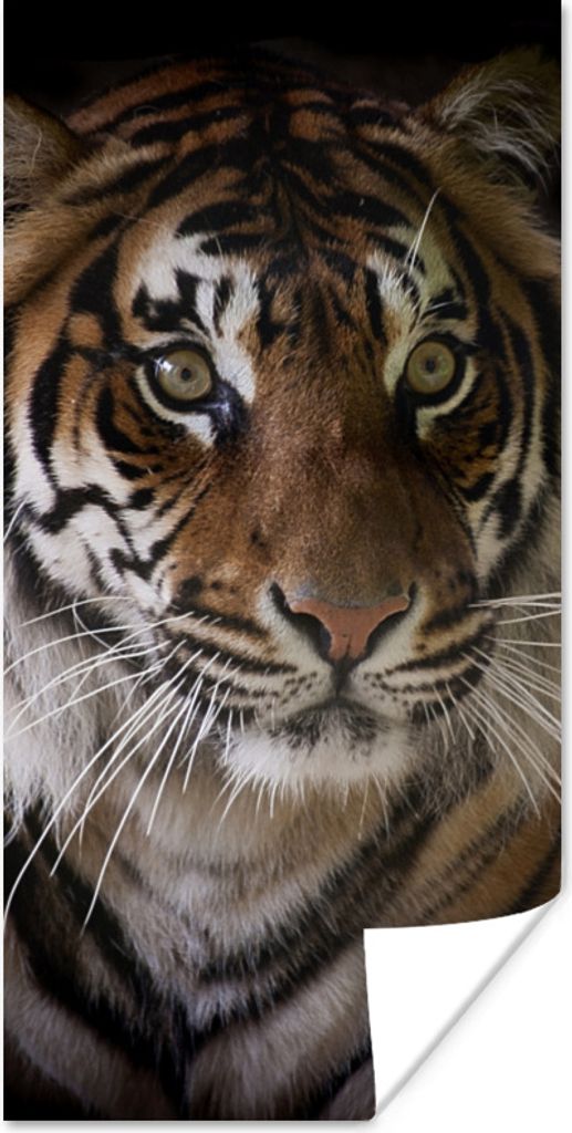 MuchoWow Poster Tiger - Kopf - Schwarz 40x80 cm - Dekoration