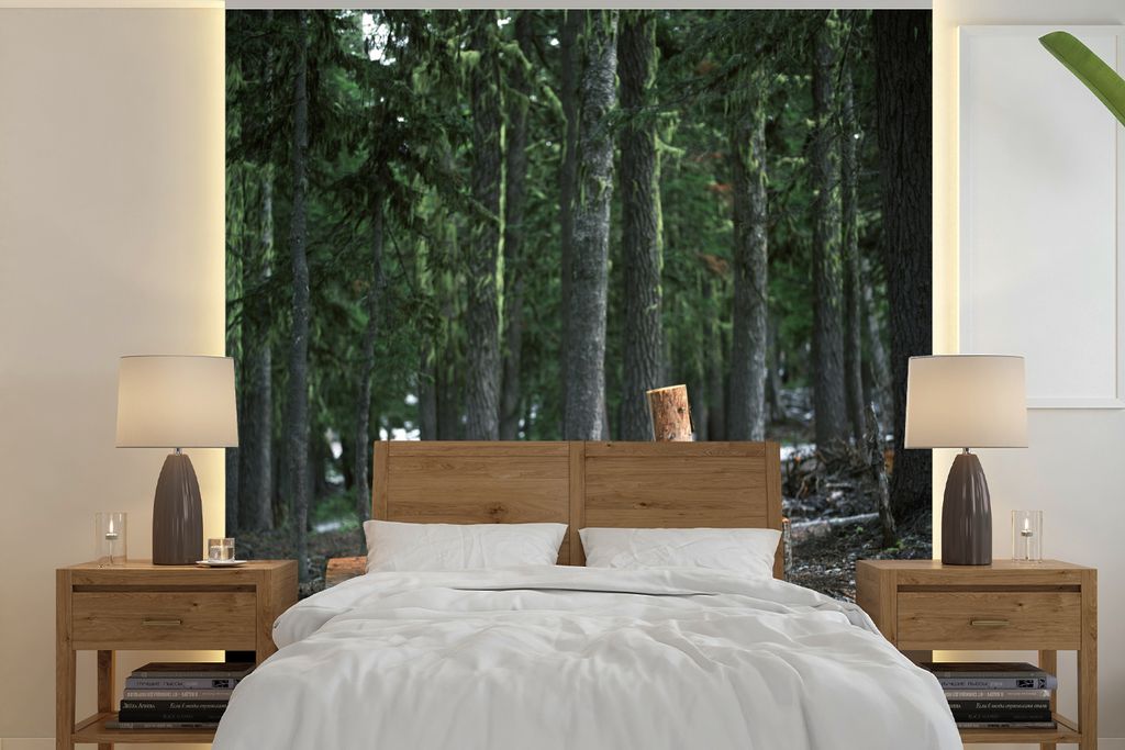 MuchoWow Fototapete für Wohnzimmer oder Schlafzimmer Wandtapete Vinyl Motivtapete Mehrere kürzlich gefällte Baumstämme in einem Wald - 280x28...