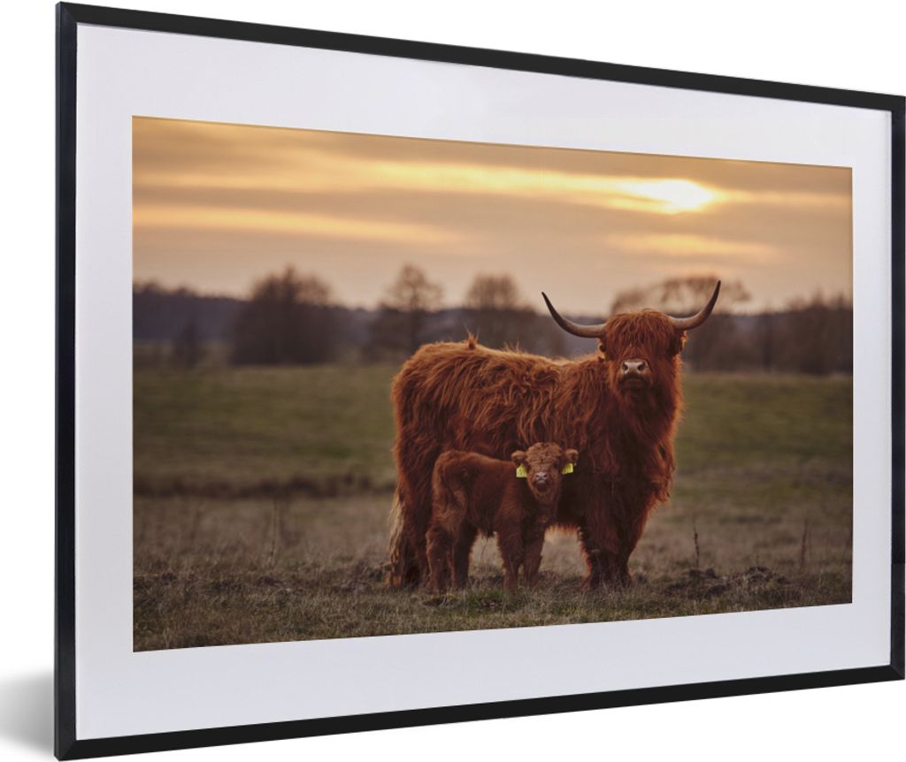 MuchoWow Gerahmtes Poster Schottische Highlander - Tiere - Landschaft - Sonnenuntergang - Kuh 60x40 cm - Poster mit Schwarzem Bilderrahmen Wandpo...